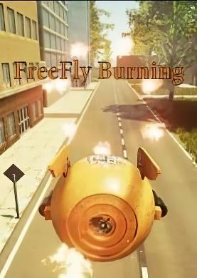 Обложка FreeFly Burning