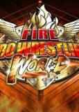 Обложка Fire Pro Wrestling World