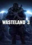 Обложка Wasteland 3
