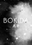 Обложка Bokida - Heartfelt Reunion