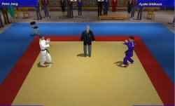 3D Judo Fighting