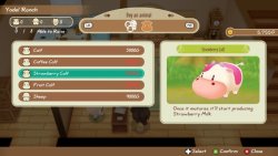 Story of Seasons: Friends of Mineral Town