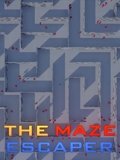 Обложка The Maze Escaper