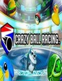 Обложка Crazy Ball Racing