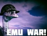 Обложка Emu War!